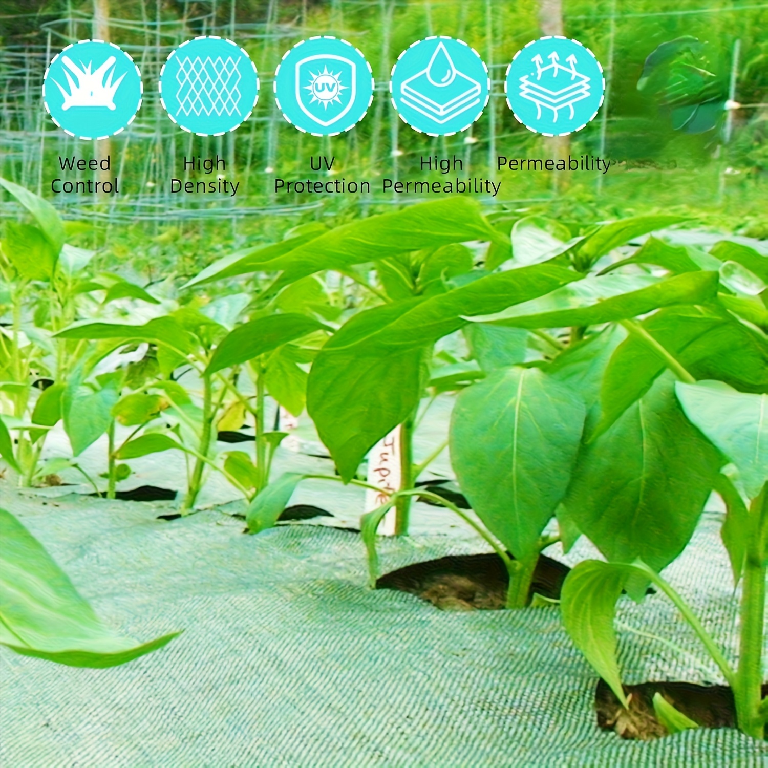 Landscape Weed Control