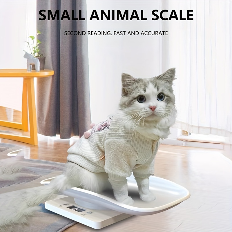 cute cartoon pet   weight scale battery powered   abs material for home use details 1