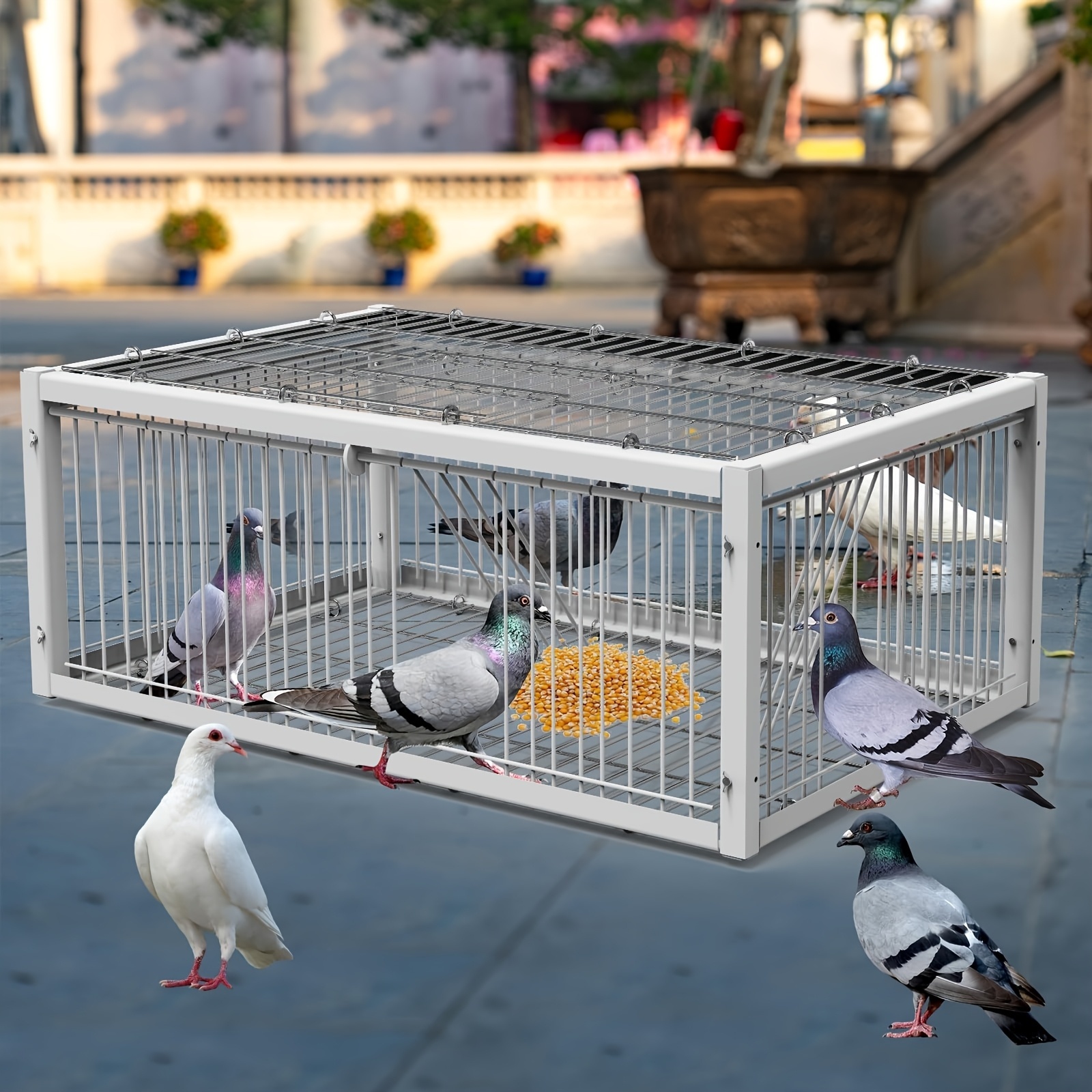 1pc stainless steel double entry door automatic pigeon cage anti escape   way exit protection for outdoor hunting   animal breeding bird trapping secure animal fence outdoor pigeon control pigeon trap