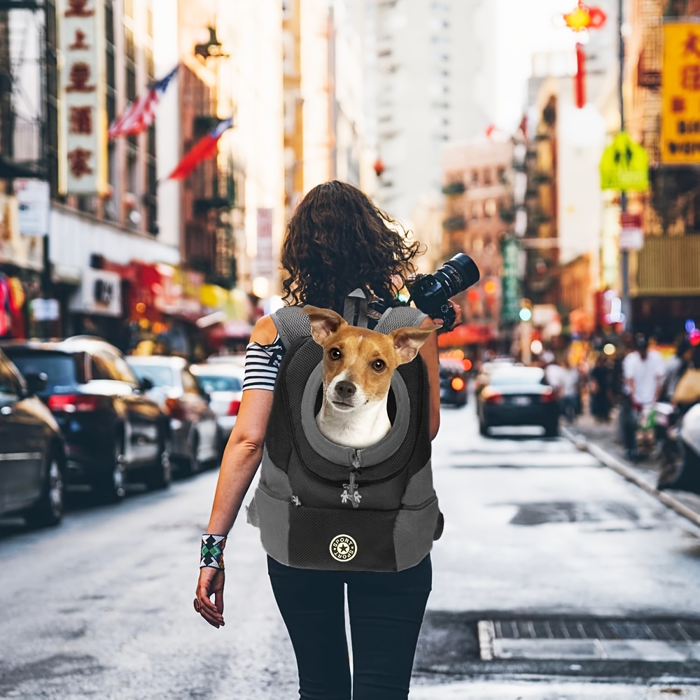 Faltbarer Hunde-Rucksack – Transporttasche Für Kleine Hunde & Katzen, Atmungsaktiv, Mit Sicherungsgurt (Größe S, Rot)