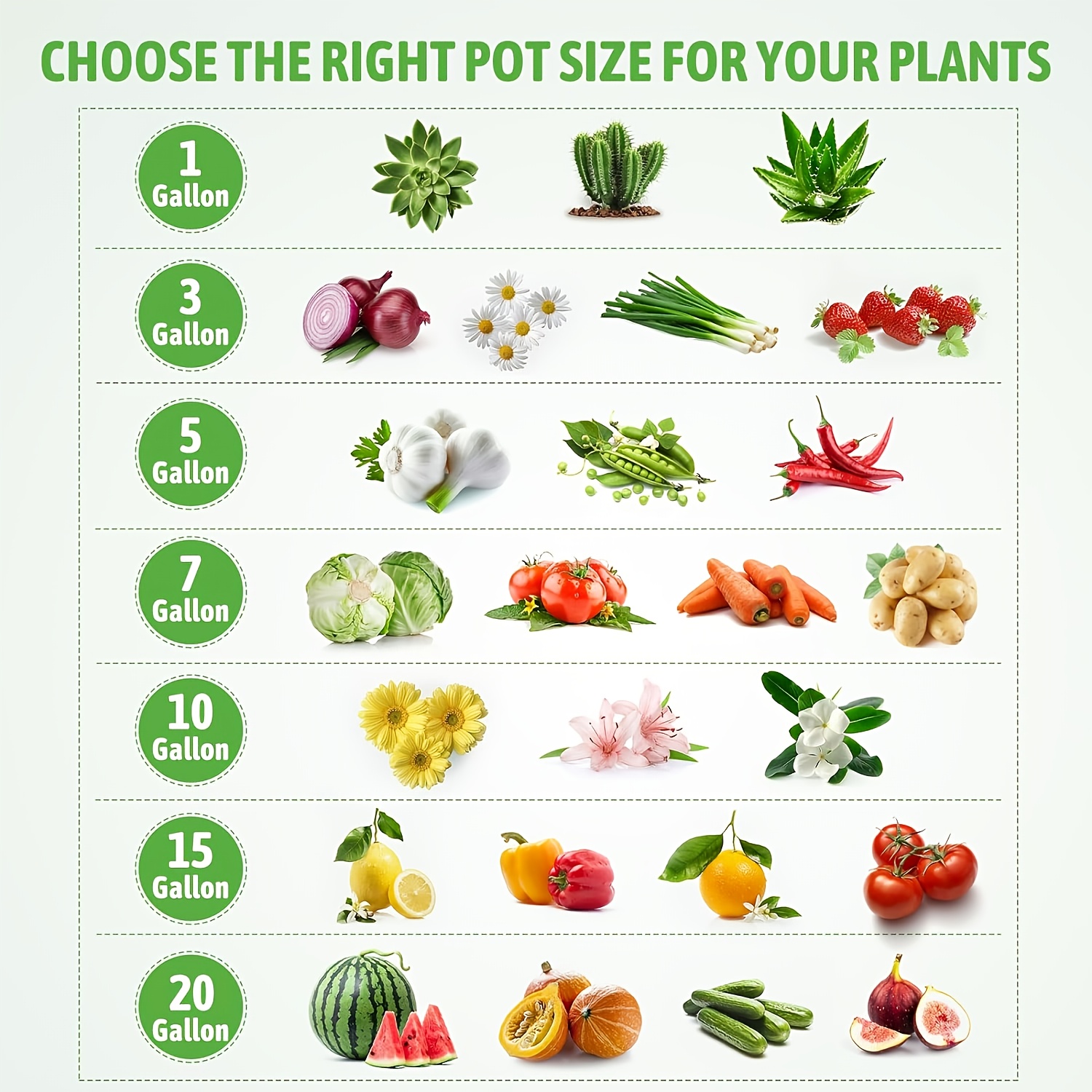 5 pack potato grow bags potato bags for planting potatoes 10 gallon 7 gallon and 5 gallon sizes outdoor pots with handles pots for planting potatoes sweet potato seeds vegetable garden grow kits outdoor plant pots Product details 8