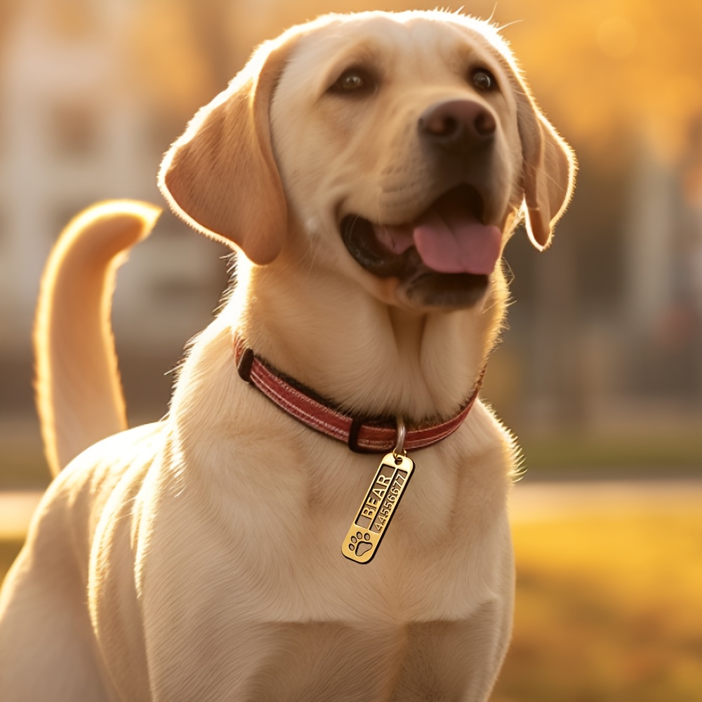 Custom Stainless Steel Pet Tag Keychain, Personalized Dog Tag