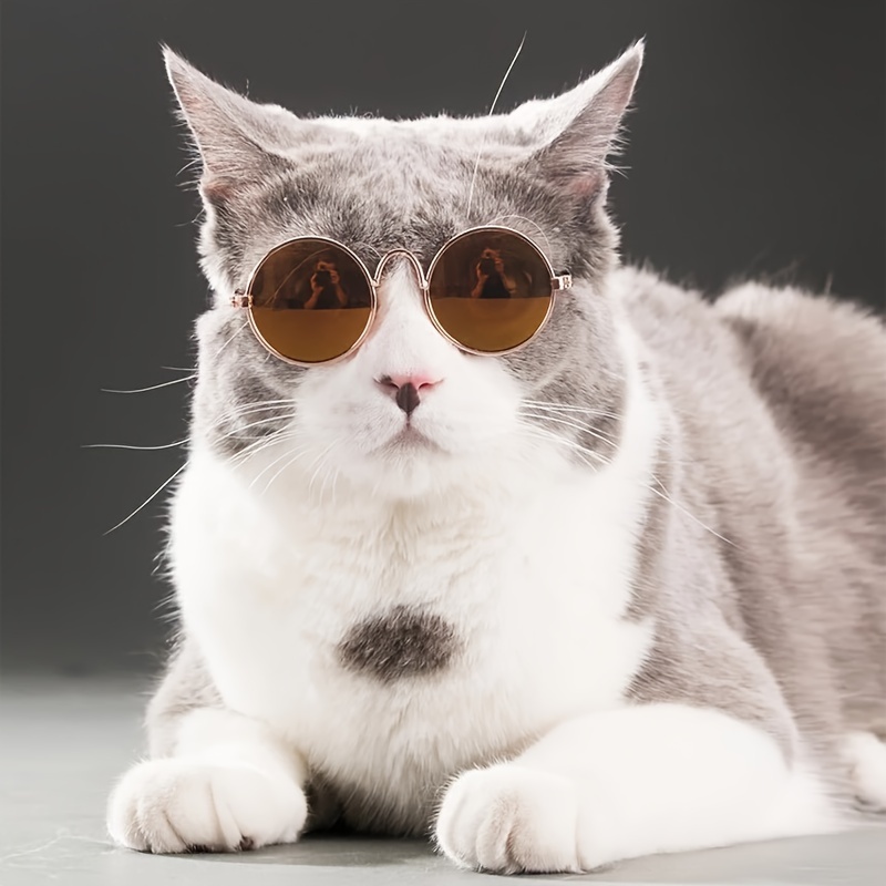 

Fashion Pet Glasses Cat Accessories Make Your Kitten Or Puppy Look Cool