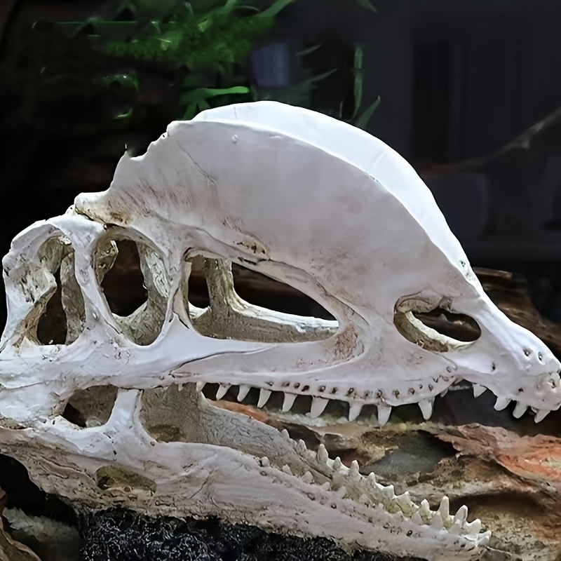 Image of 1pc Of Double- Dragon Dinosaur Replica - Resin Animal Skeleton Decoration, Suitable For Home, Bedroom, Living Room - A For Halloween, Christmas, Easter, And Thanksgiving (with Base)