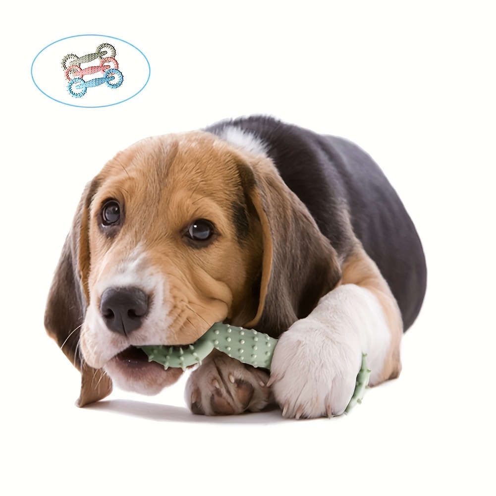 Dog Molar Pull Ring Chew Toy for Interactive Play