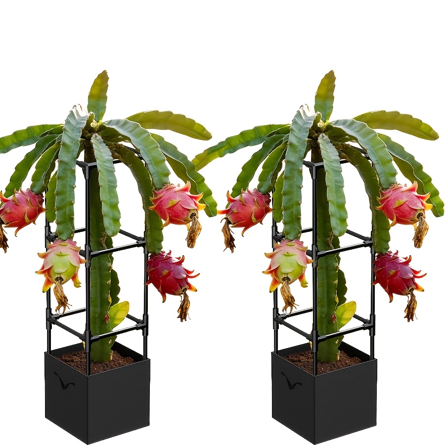 TEMU 2 Pcsdragon Fruit Trellis For Climbing Plants Indoor Outdoor, Heavy Duty Metal Adjustable Vertical Garden Support For Indoor Outdoor Potted