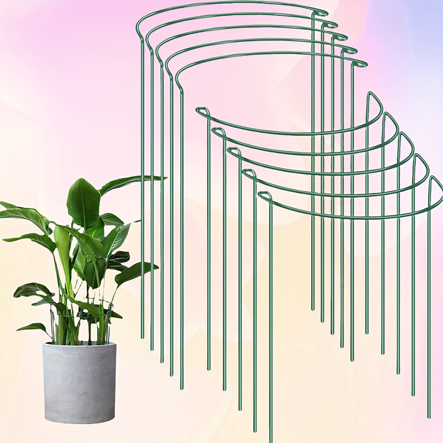 

Flower Support Frame Flower Guard Frame Money Tree Hydrangea Flower Climbing Vine Plant Semicircle Leaf Protection Fixed Frame To Prevent Lodging