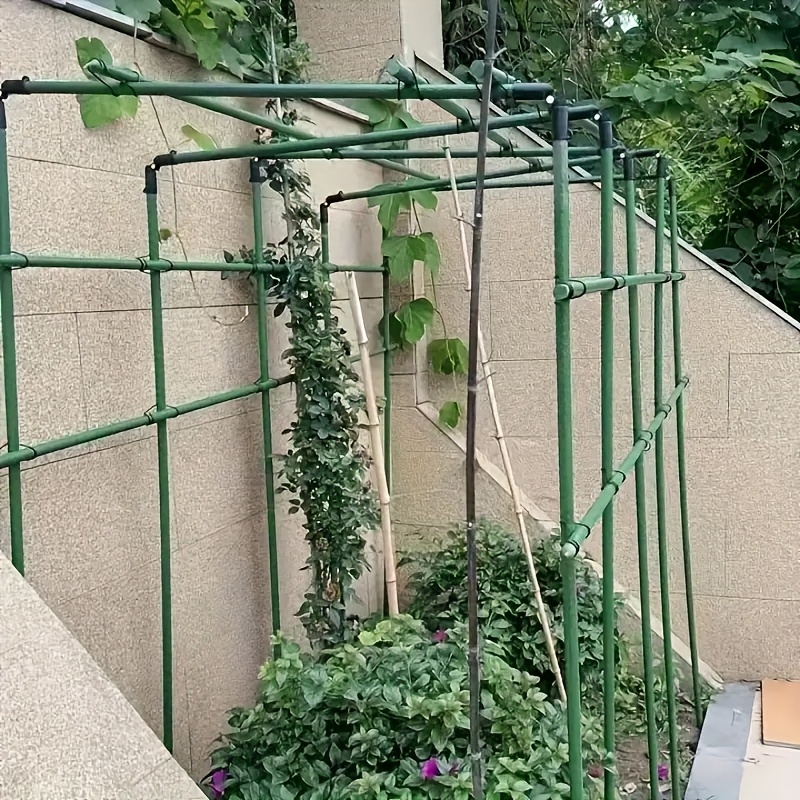 60pz set piante rampicanti x x Temu Italy