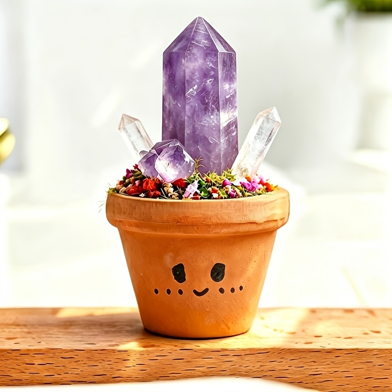 TEMU 1pc Natural Potted Plant, Mini Forest, Meditation , Potted Plant Decorative Ornament