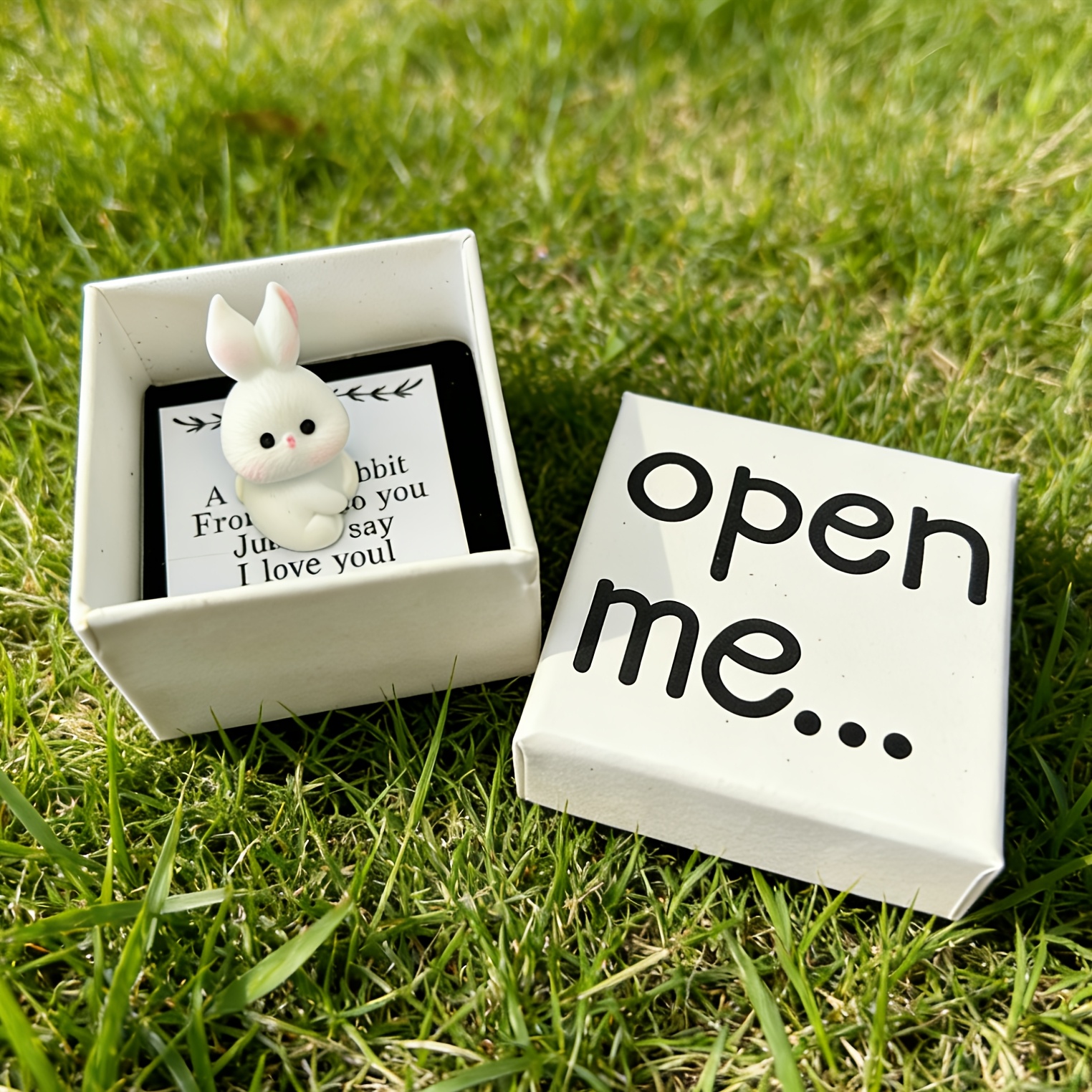 E-shop Geschenk für Sie/Ihn 3-teiliges Set: + 1 Karte + 1 Hase. Bezaubernde „Das ist dein Herz“ Hasen-Boxkarte mit weißem Hasen rotem Herz-Design – zum