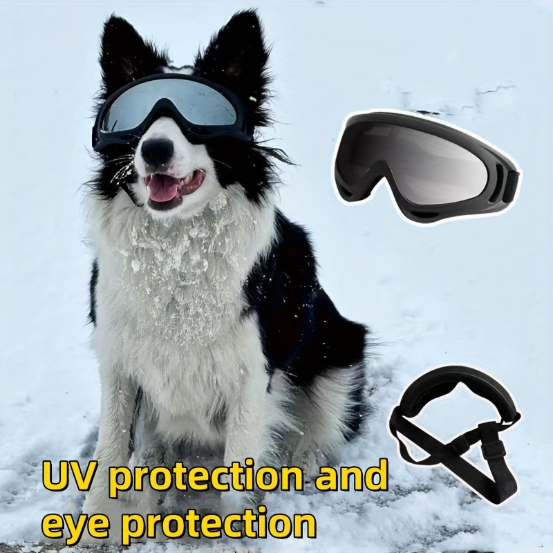 E-shop Hundespezifische Brille, UV-Schutz, Winddicht, Staubdicht, Anti-Beschlag, mit verstellbarem Tragegurt, Augenschutz für Haustiere, geeignet für