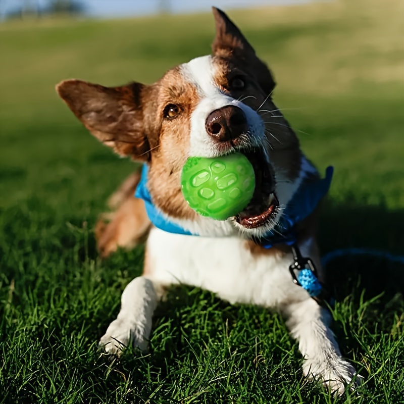 

Squeaky Rubber Dog Ball Toy For Small To Medium Breeds - Teeth Cleaning, Training & Fun, Green Textured Design For Dental Health & Interactive Play, Interactive Dog Ball | Accessory | Material