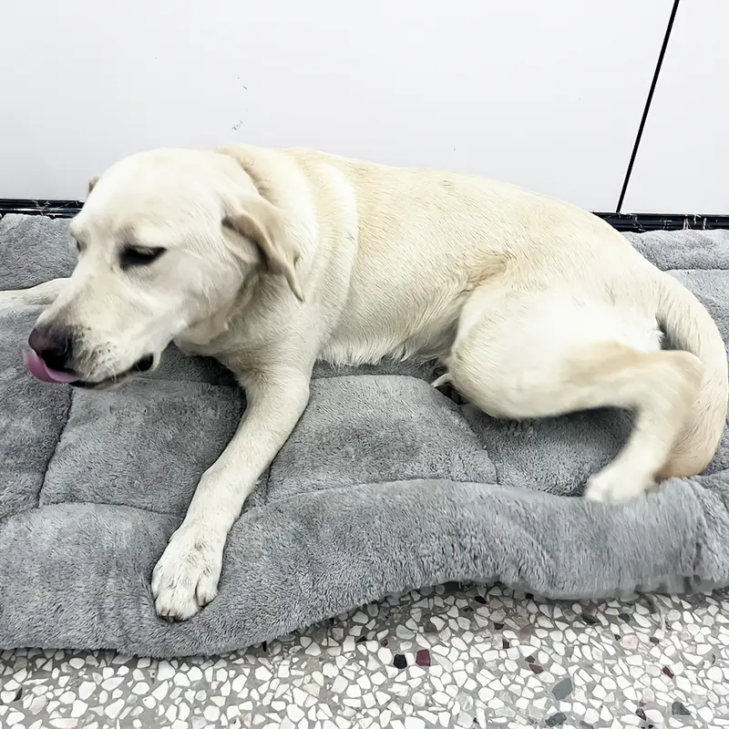 1pc extra large plush dog bed mat ultra soft polyester pet sofa with checkered pattern thickened fiber filling for ideal for small medium and large dogs Product details 6