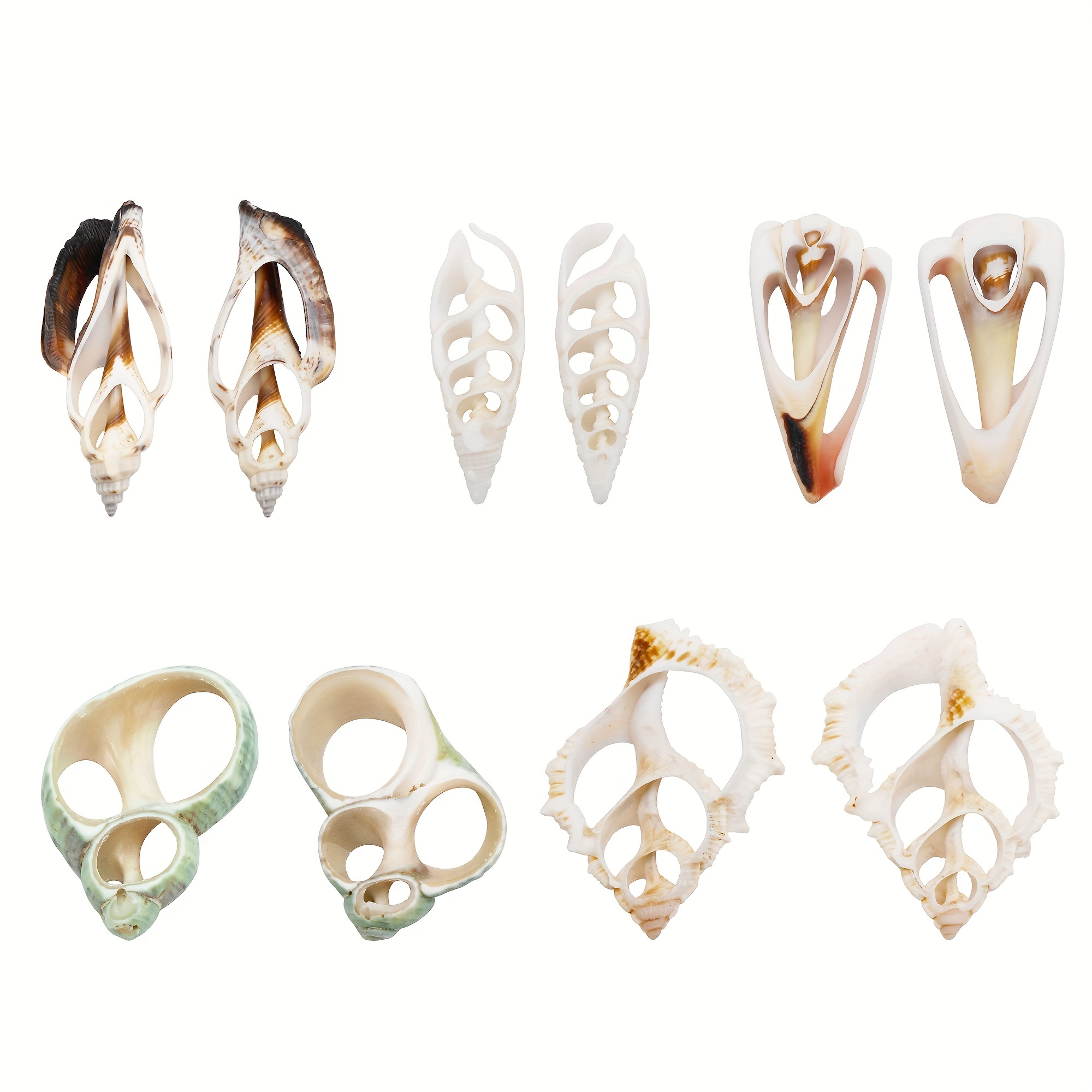 

10pcs Conch Shells Slice Charms Beads For Ocean Beach Mermaid Crown Resin Jewelry Making Party Home Decorations Wedding Decor Diy Crafts Fish Tank Vase Filler