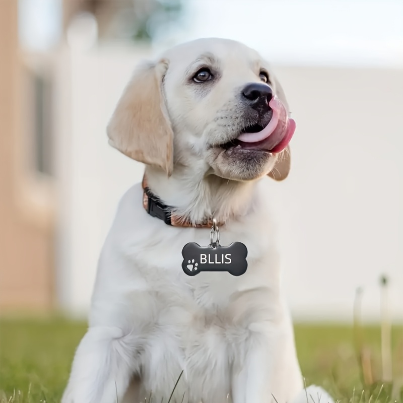 Customized Personalized Dog Tag, Durable Stainless Steel Tag
