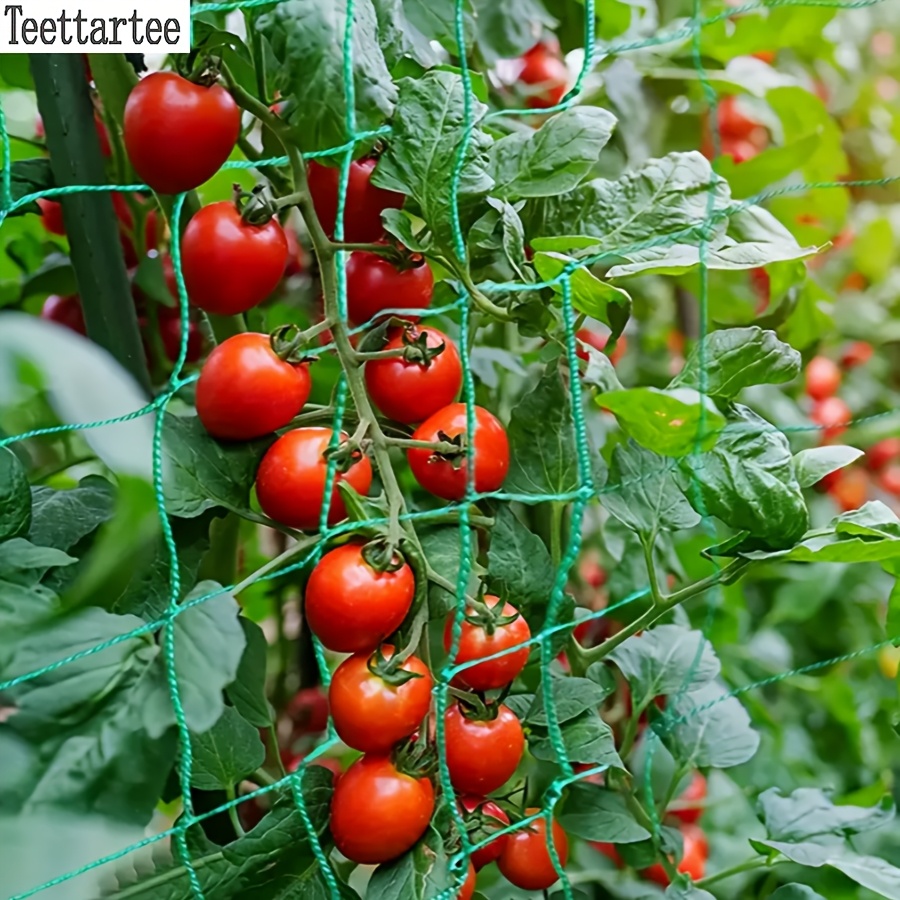 Plant Climbing Net Green Garden * Cucumber Hanging Melon Climbing Net  Support Chrysanthemum Windproof Anti-Lodging Net Greenhouse Planting Square  Net Garden Courtyard Plant Climbing Net Melon Fruit ...