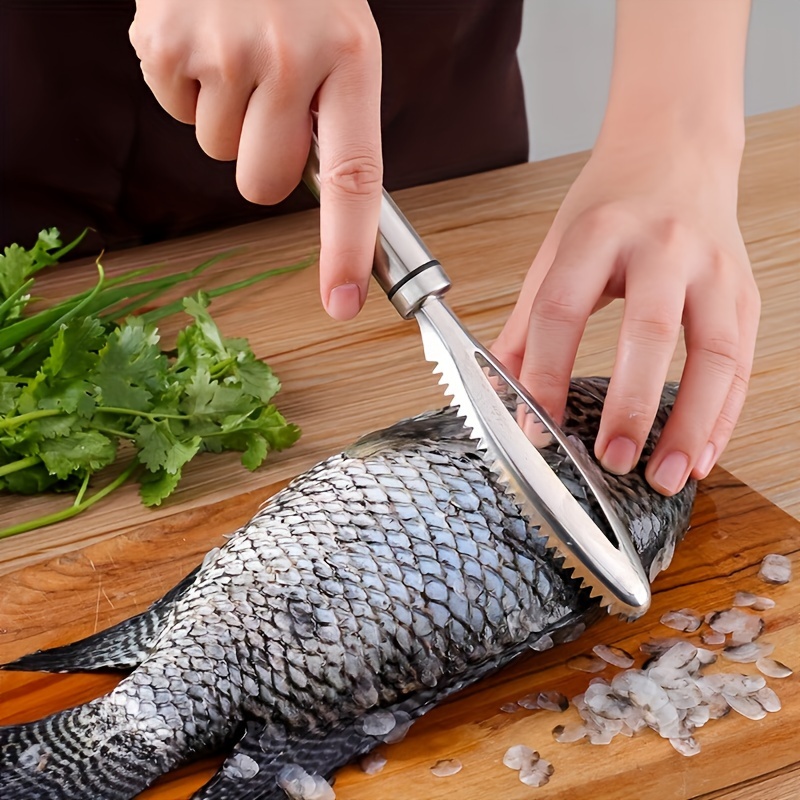 1pc Stainless Steel Fish Scaler - Perfect For Cleaning Fish & Scrapping  Scale - Restaurant Kitchen Tool