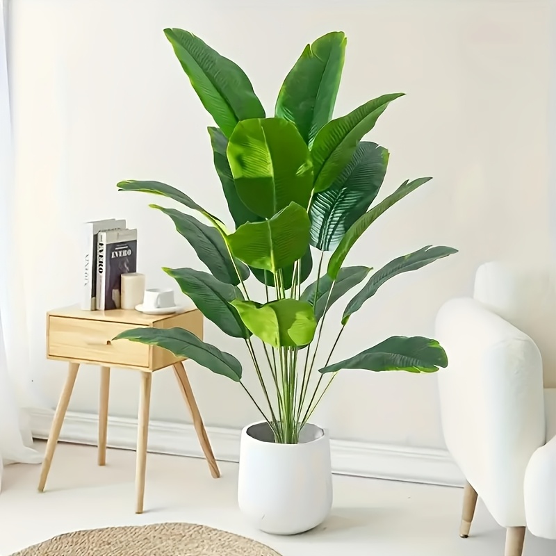 calkins gold philodendron 6" Philodendron 'Calkins Gold'  Canopy Plant Co