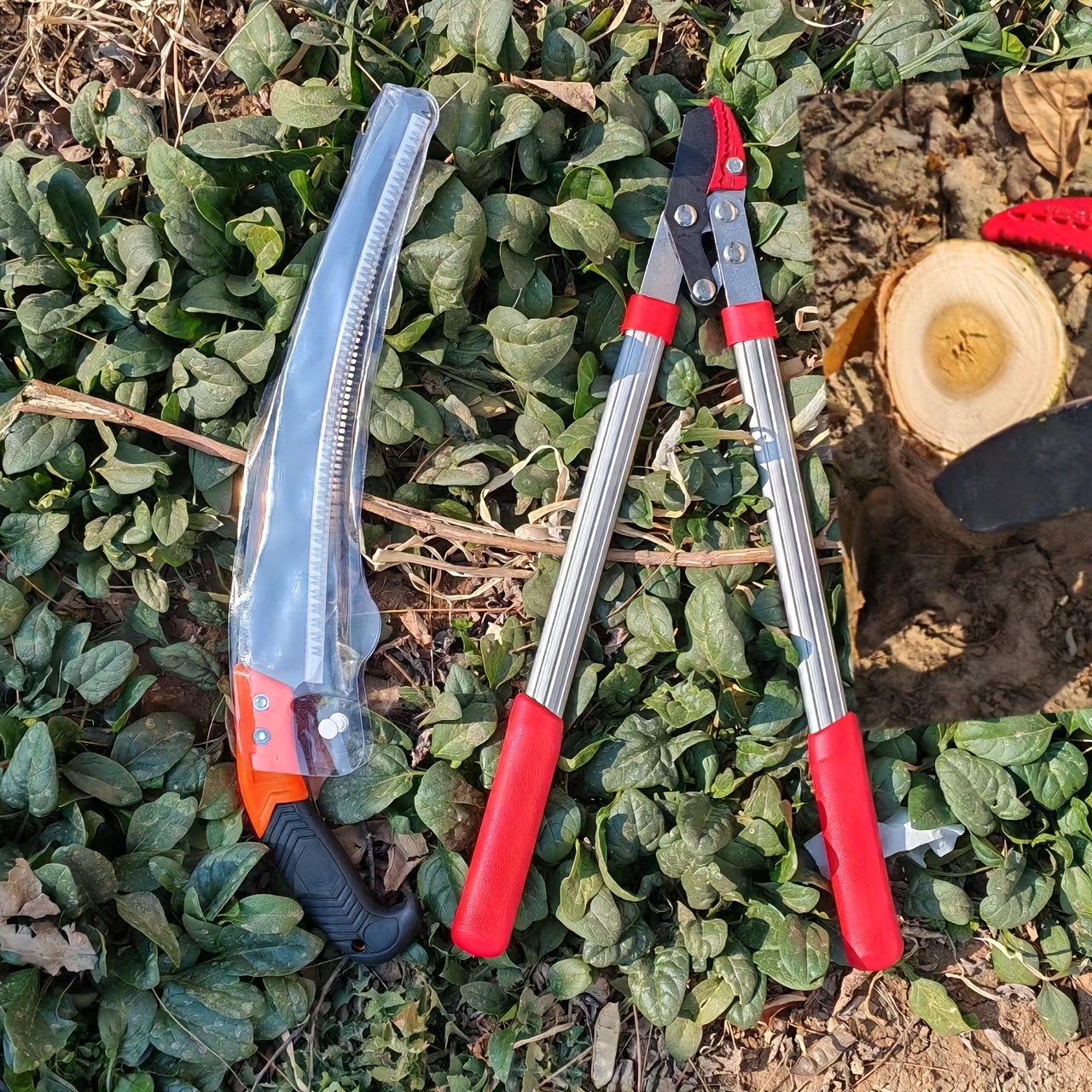 Een meter telescopische krachtige schaar met hoge kwaliteit koolstalen messen, ambidextrous, constructie van mangaanstaal