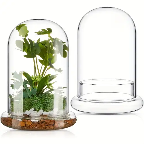 Bouteille Verre Terrarium Hydroponique Avec Couvercle Liège - Mini Jardin Décoratif Pour Plantes, Succulentes