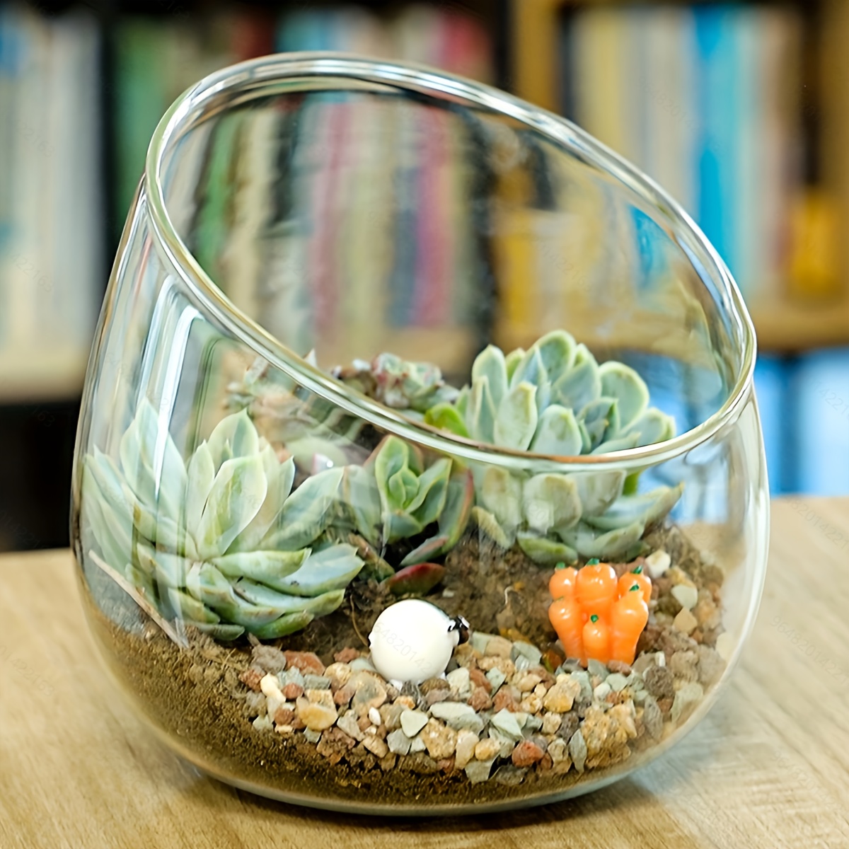 

Glass Terrarium Planter Bowl – 1pc Slant Cut Glass Vase For Succulents, Cacti, And Small Houseplants – Hydroponic Art Vase For Floral Arrangements, Centerpieces (plants Not Included)