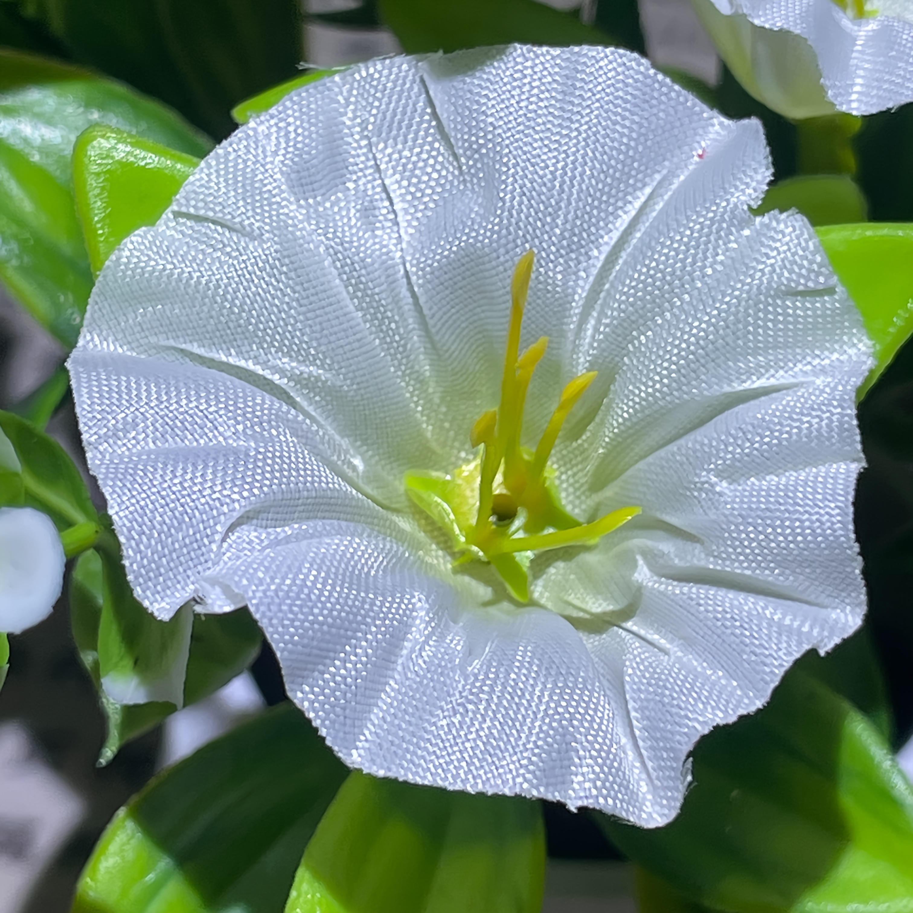 1/6 Set Morning Glory Flower with Pot, Elegant Mini 5 Artificial Flowers Artificial Green Plant Potted Art, Suitable for Home, Hotel And Garden Decoration Tabletop Overall Height 16Cm Small Ornaments (Note: Pictures Appear Large