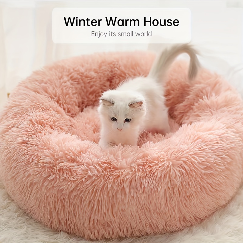 Wish hotsell cat bed