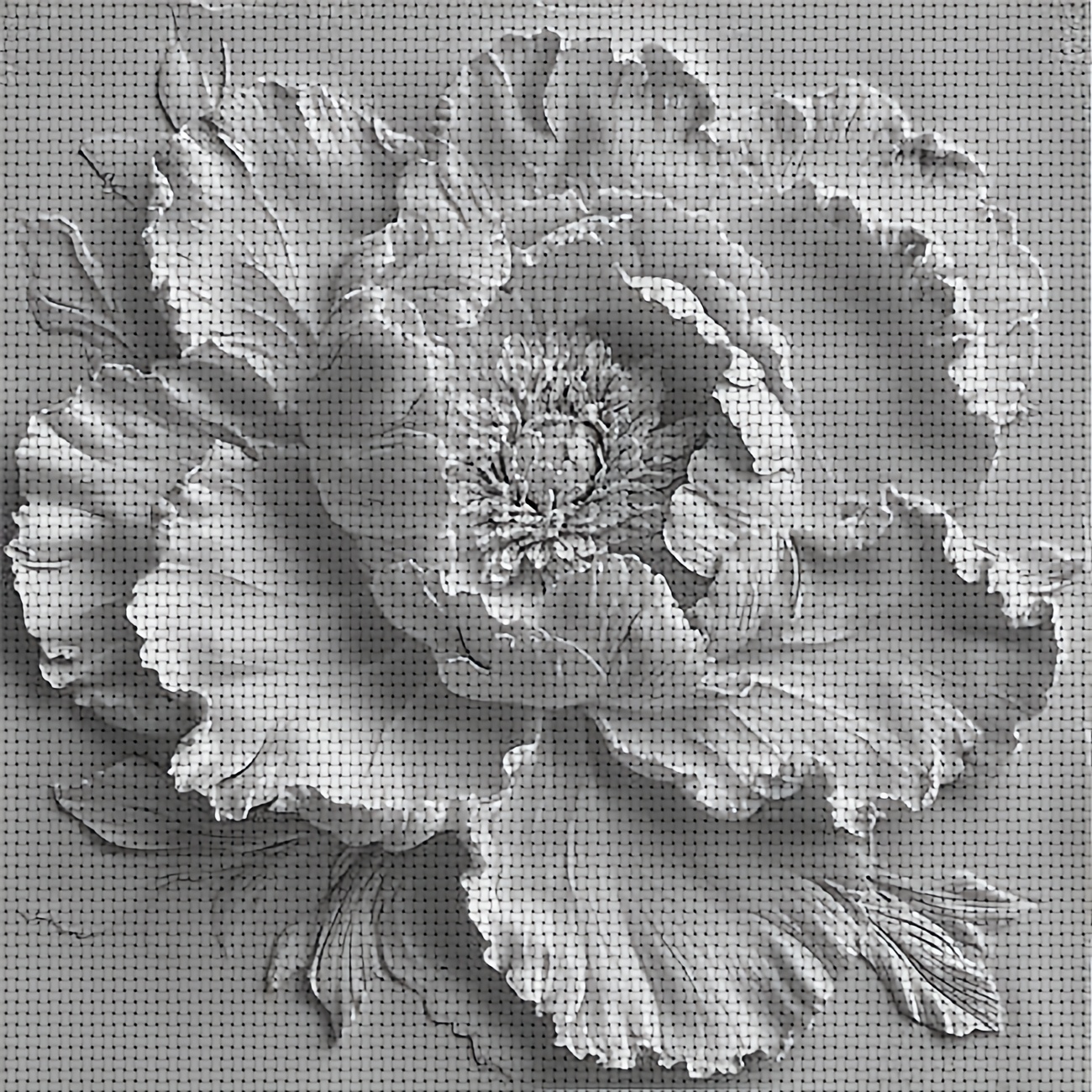 TEMU 1pc Diy Stitch Print Kit, Frameless, "white 3d Peony" Pattern, Perfect For Beginners' Relaxing Craft Time, Experience The Full From "leisure" To
