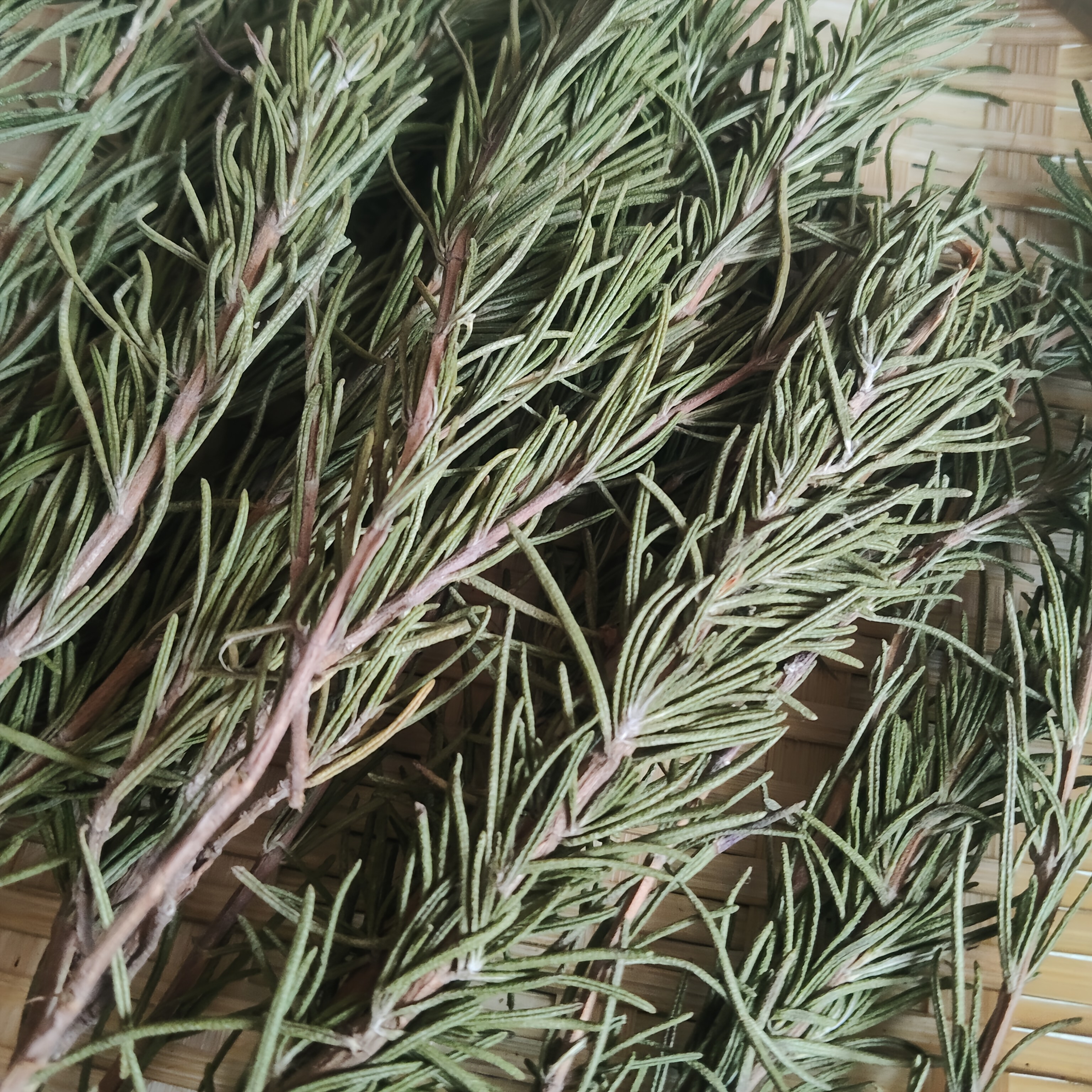 A Pack of Natural Color Rosemary, Dried Flowers, Pressed Flowers, Preserved Flowers, Real Flowers and Plants Can Be Used as Specimens, Bookmarks, DIY Handcrafted Scented Candles, Cocktails, Decorations, Home, Wedding, Party, Festival Gifts, Birthday
