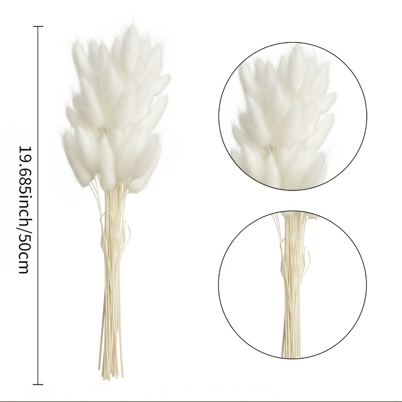 Image of 53pcs Of Flowers Resembling Bunny Tails, Perfect For A Bohemian-style Bouquet. Ideal For Home Vases, Living Room Decoration, Garden Arrangements, And Suitable For Weddings, Parties, And Festivals
