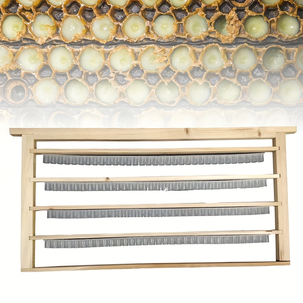 

Double Row Breeding Frame With Royal Jelly Strip - Plastic, Essential Beekeeping Tool, Beekeeping Supplies