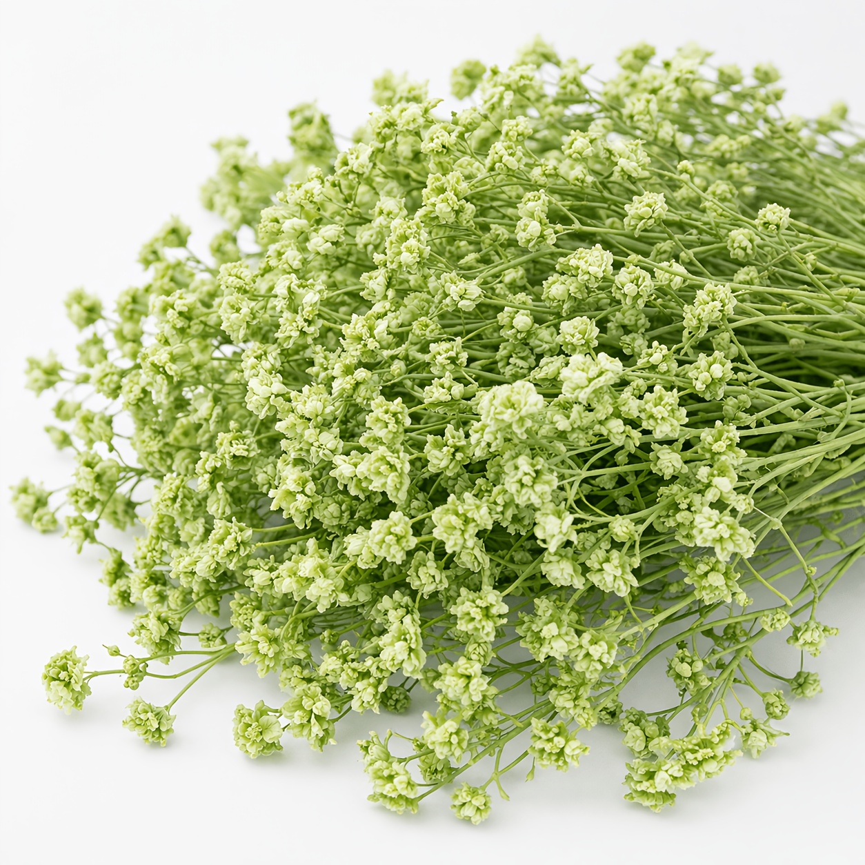 E-shop 1760+/1530+ Stück Grüne Blumen, für , Hochzeit, Blumenarrangements, Blumen für Vase und Muttertagsgeschenk für wohnung
