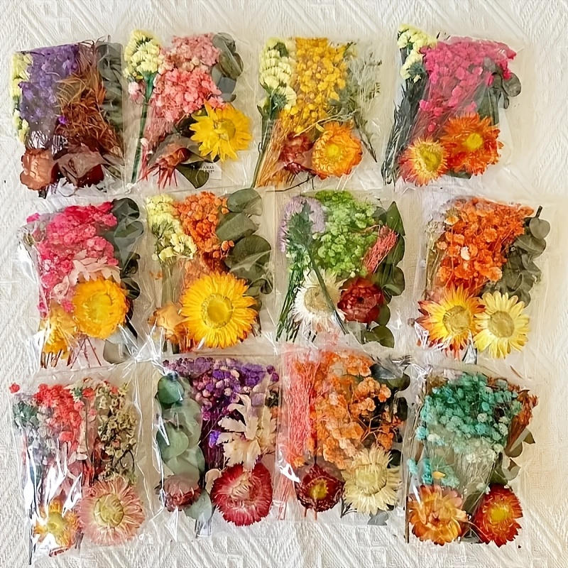 TEMU Kit d'artisanat de fleurs séchées à aléatoire, loisirs créatifs à soi- et décorations , guirlandes de fleurs, fleurs de poitrine, accessoires de