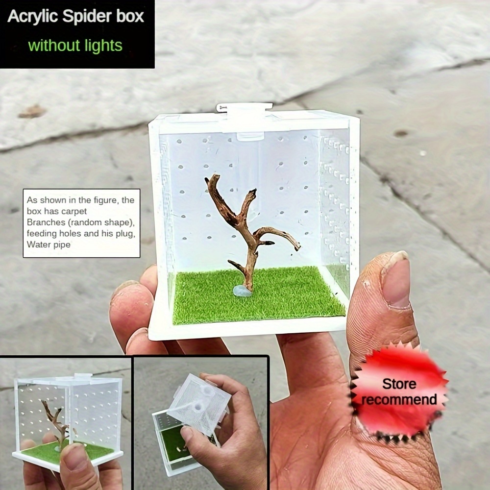 

Acrylic Breeding Box For Spiders, Mantises & Insects - Transparent Habitat With Ventilation For Reptiles & Amphibians