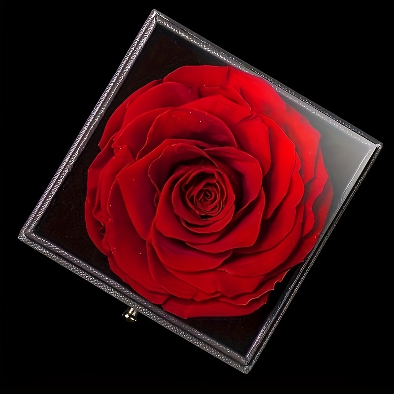 MONODEAL Vječna prava ruža, s ogrlicom I Love You, 100 jezika, prave ruže, cvjetni nakit, poklon kutija, ruža, romantična za vo, Majčin dan, Božić, rođendanski pokloni za nju