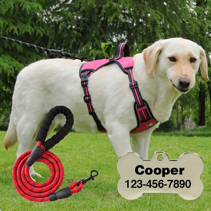 Customizable 2pcs Vest-Style Harness and Leash Set for Dogs