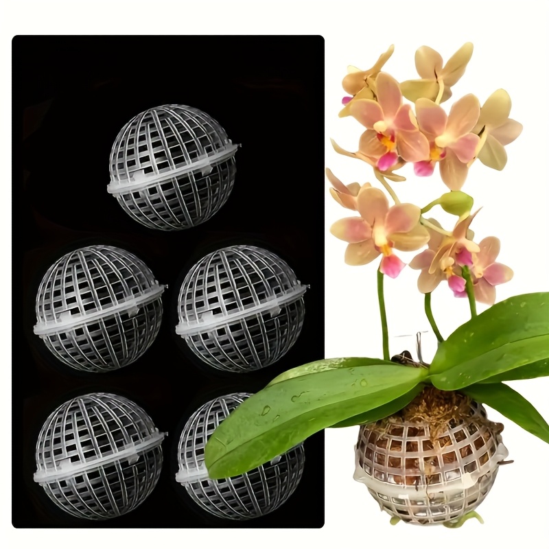 5-teilig Transparente Farn-Plastik-Pflanzkugeln, Orchideen-Hngekugeln,  Sphagnum-*-Befestigungsrmel, Vielseitige  Hydrokultur-Landschaftsdekor-Accessoires, Drei Gren Verfgbar