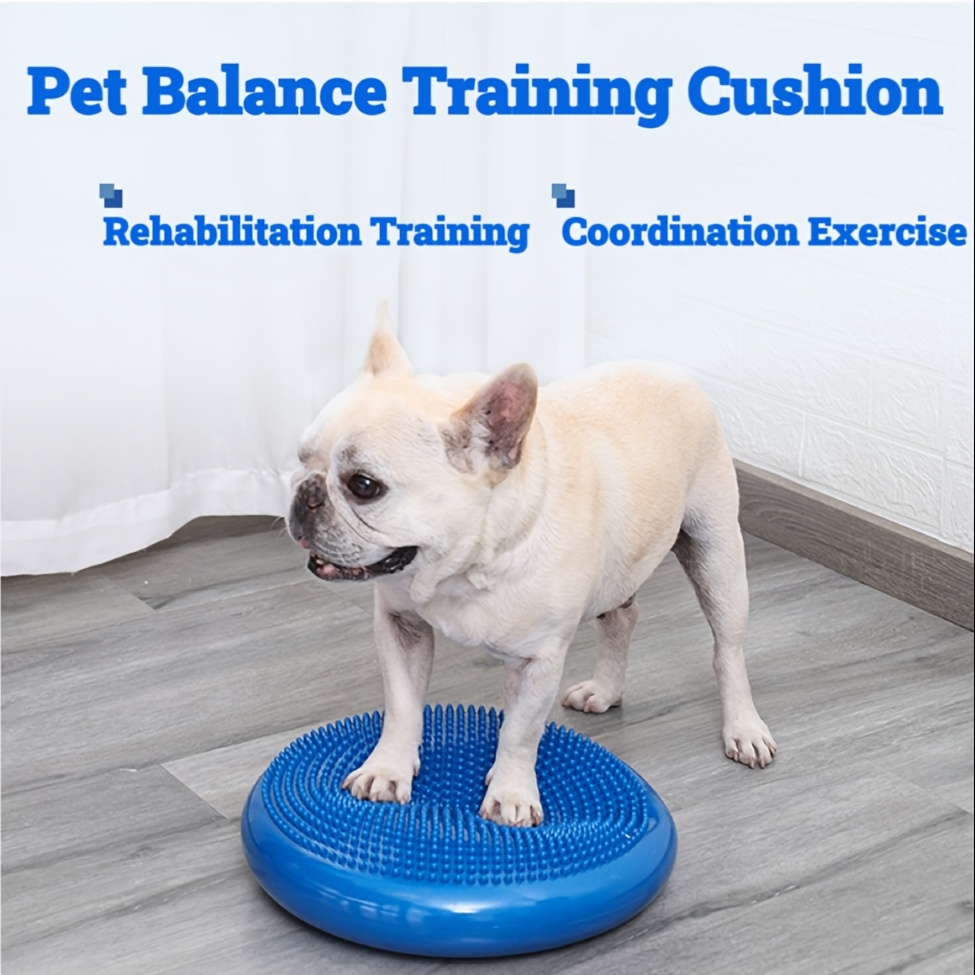 

Tapis d'entraînement d' pour chien, ballon d'exercice de yoga en PVC avec pompe de gonflage, coussin de rééducation post-chirurgicale, équipement d'exercice souple et pour chiens