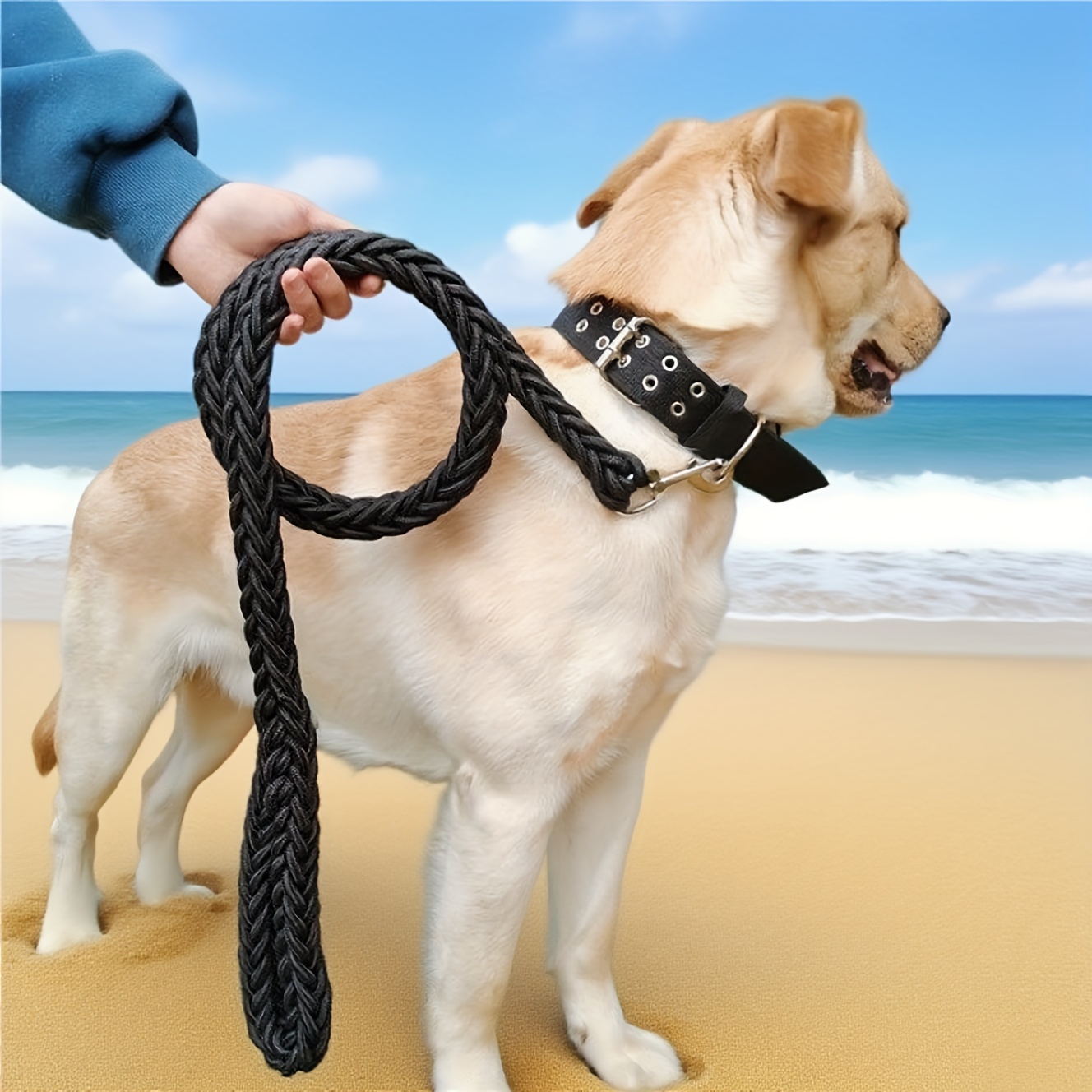 TEMU Leash For Medium To Large Dogs, -strand Woven Dog Lead, , Outdoor Dog Supplies, Pet Products, Without Battery