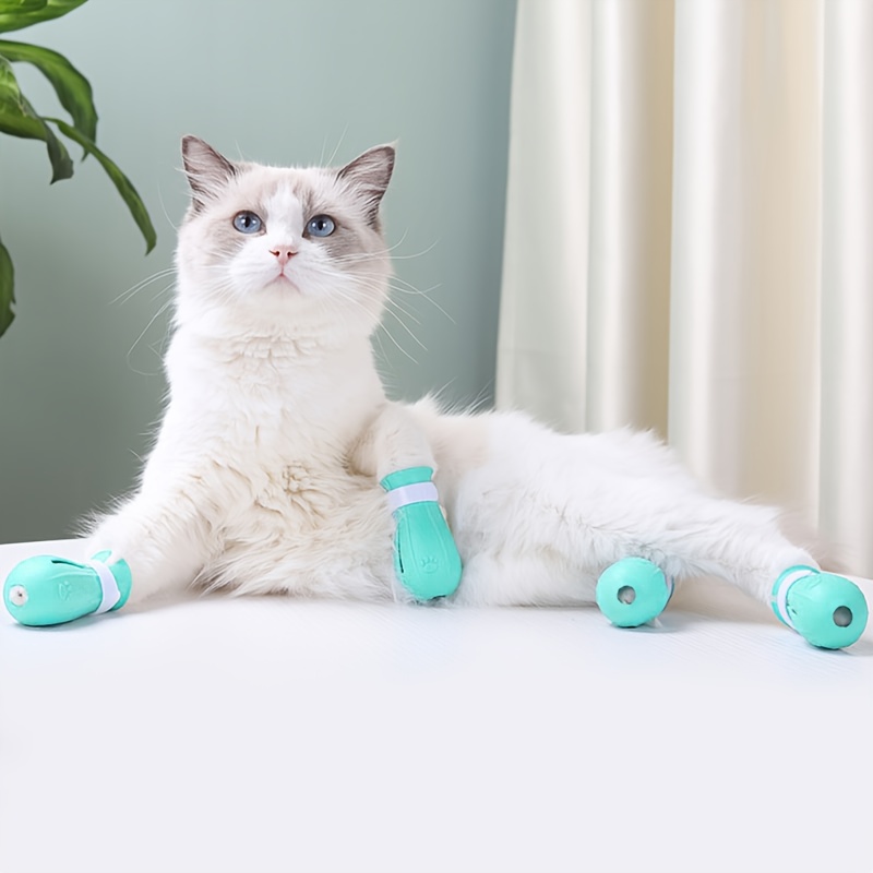 scratch proof cat paw protectors four adjustable cat paw protectors designed to prevent scratches suitable for grooming bathing and shaving prevents   and scratches nail clippings and   covers to prevent licking when feeding Product details 0