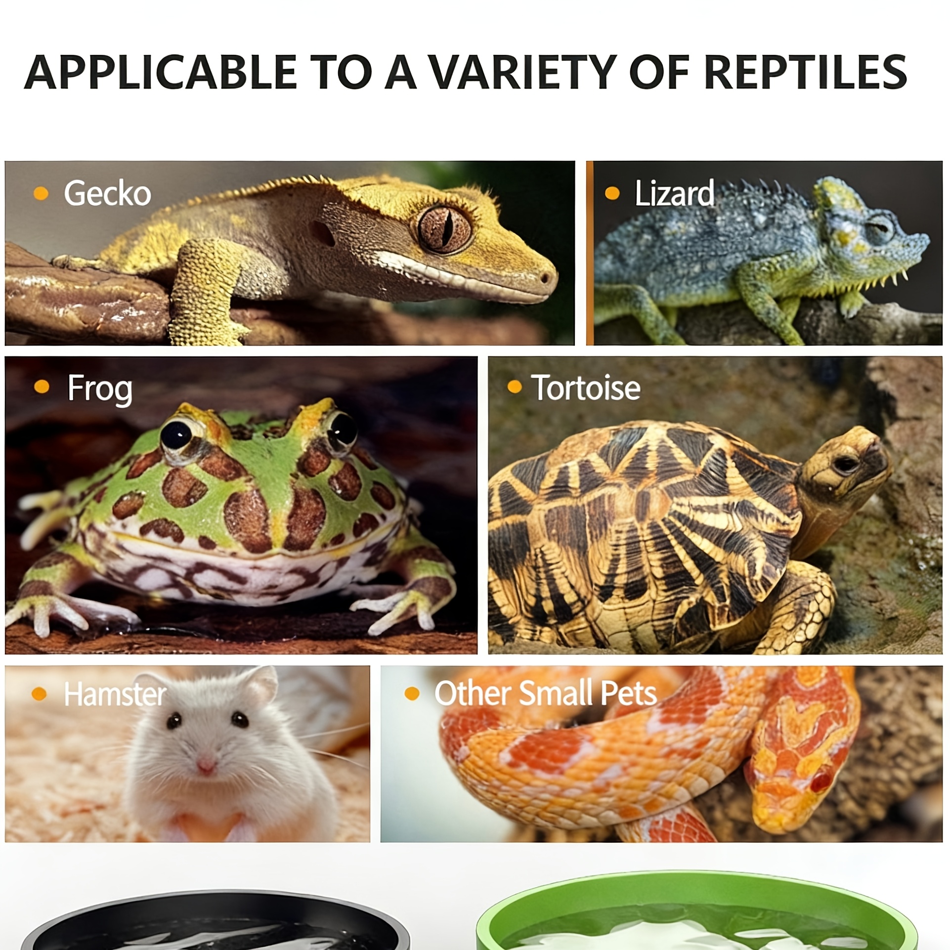 Reptile Feeding Small Scale Monitor Lizard Snake Rainforest Scorpion Spider Pet Reptile Feeding Bowl Water Bowl