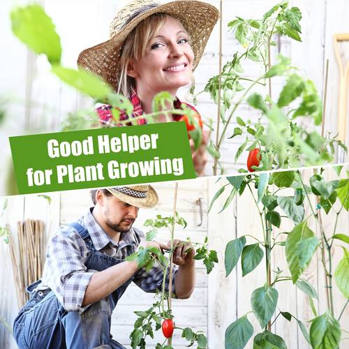 60 bamboo stakes bulk plant stakes supports climbing for tomatoes beans vegetable and potted plants 48 inch