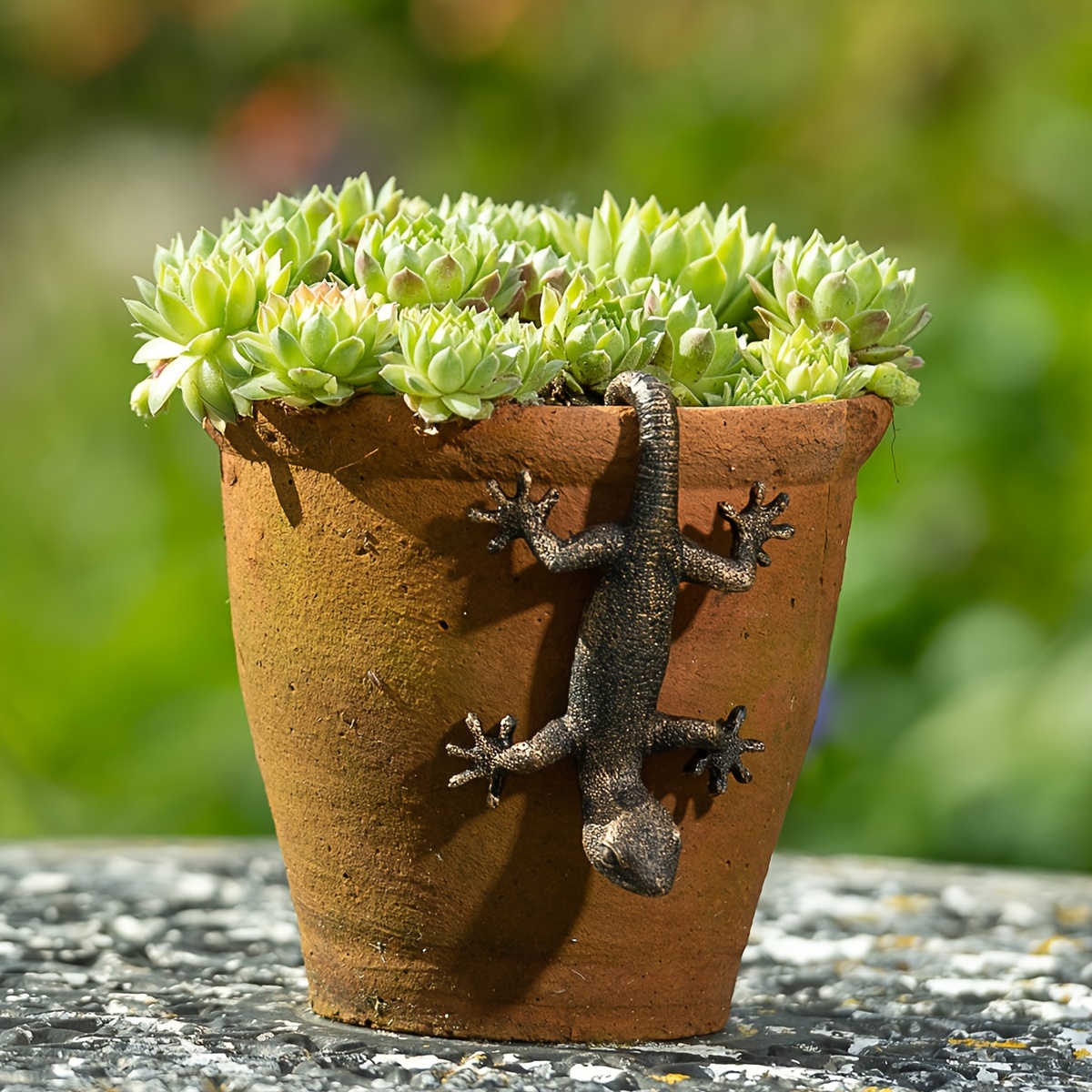 

Unique Bronze Hanging - Decorative For Potted Plants, &