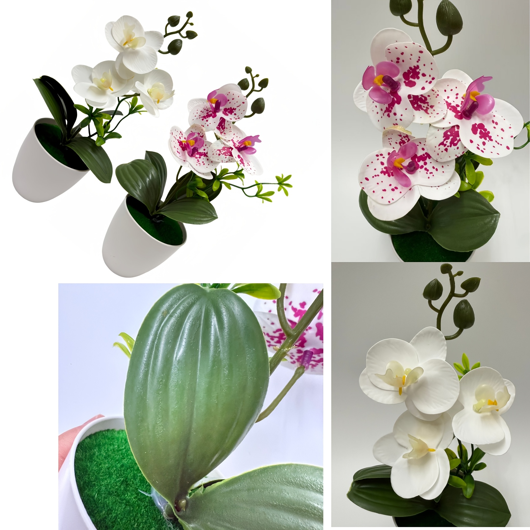 TEMU 2pcs Set Of Round Pot Phalaenopsis Orchid Potted Bonsai, Suitable For Indoor And Outdoor Decoration, Christmas, Halloween Decoration, Dining