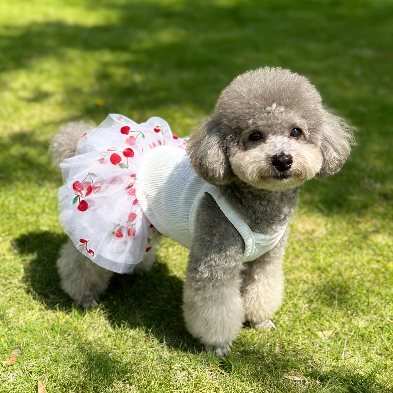 TEMU Vestito a gonna a rete gonfia estivo con ciliegie per di taglia - Gilet lavorato a maglia traspirante e completo a per Teddy, Bichon, Chihuahua,