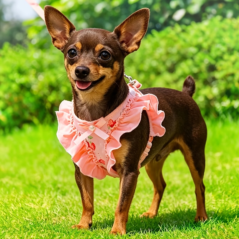 Cartoon Strawberry Print Pet Harness and Leash Set