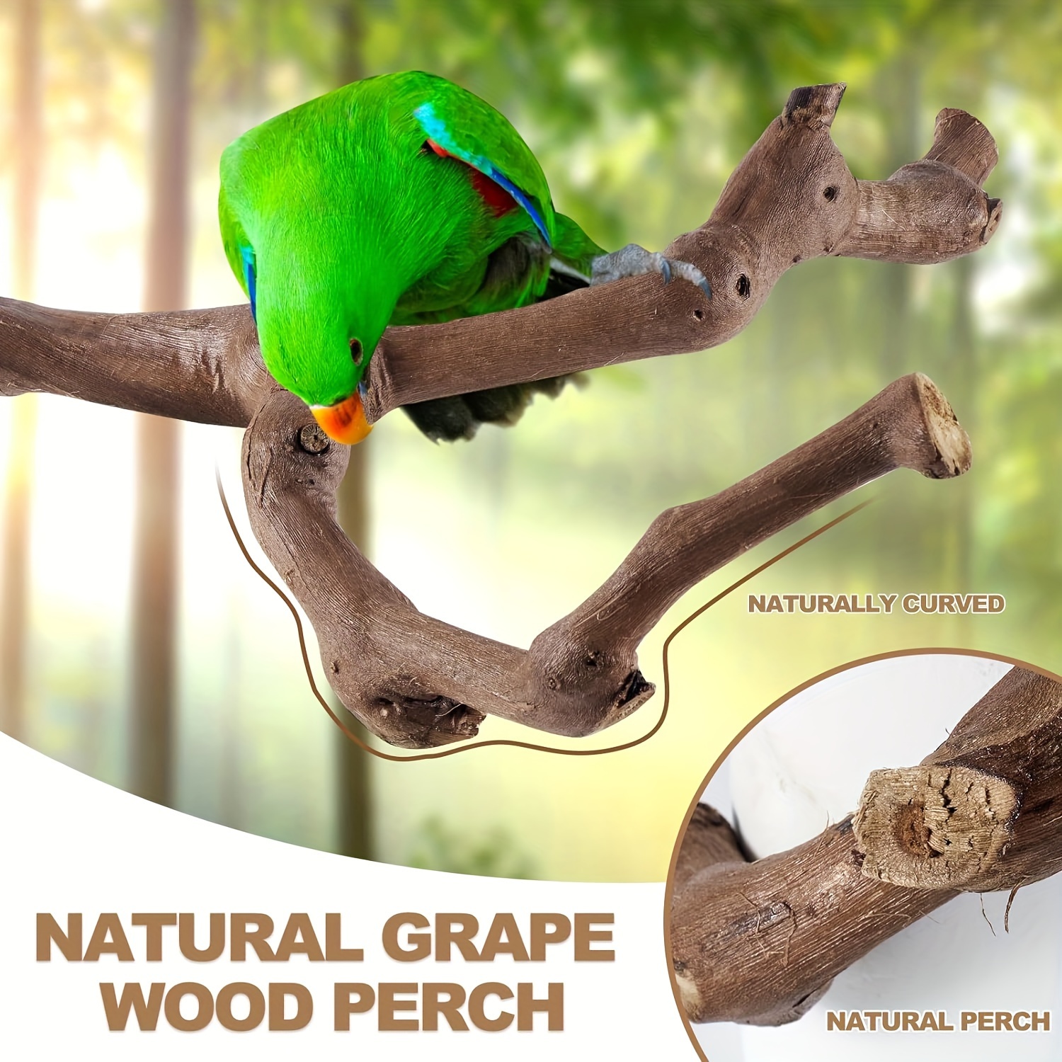 Parrot, Birds, Perches: Bird Perch. Bird Safe natural wood perches. Parrots  Supplies.