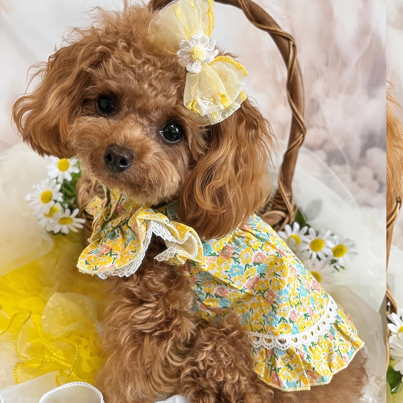 t shirt dress with long sleeves Sleeve Lace Tulle Flower Girl - Fall Wedding LTP1604,Mint Green Satin Off closet_1414 Ladies Size:9.5 B and all the colors