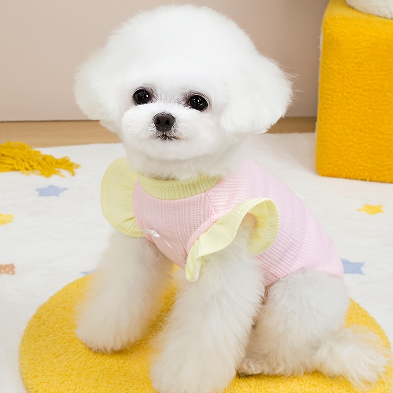 ropa mascotas verano ropa perros gatos ropa Temu Spain