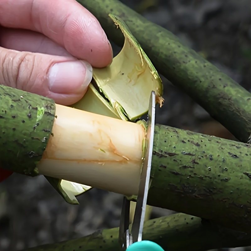stainless steel grafting tool professional gardening pruning scissors with bark cutter fruit tree   grafting ring knife suitable for   and  